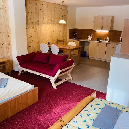 Studia Pod Lysou Apartment Rokytnice nad Jizerou Bagian luar foto