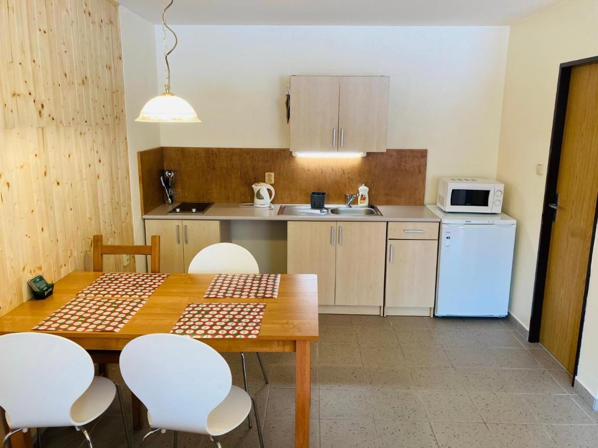 Studia Pod Lysou Apartment Rokytnice nad Jizerou Bagian luar foto