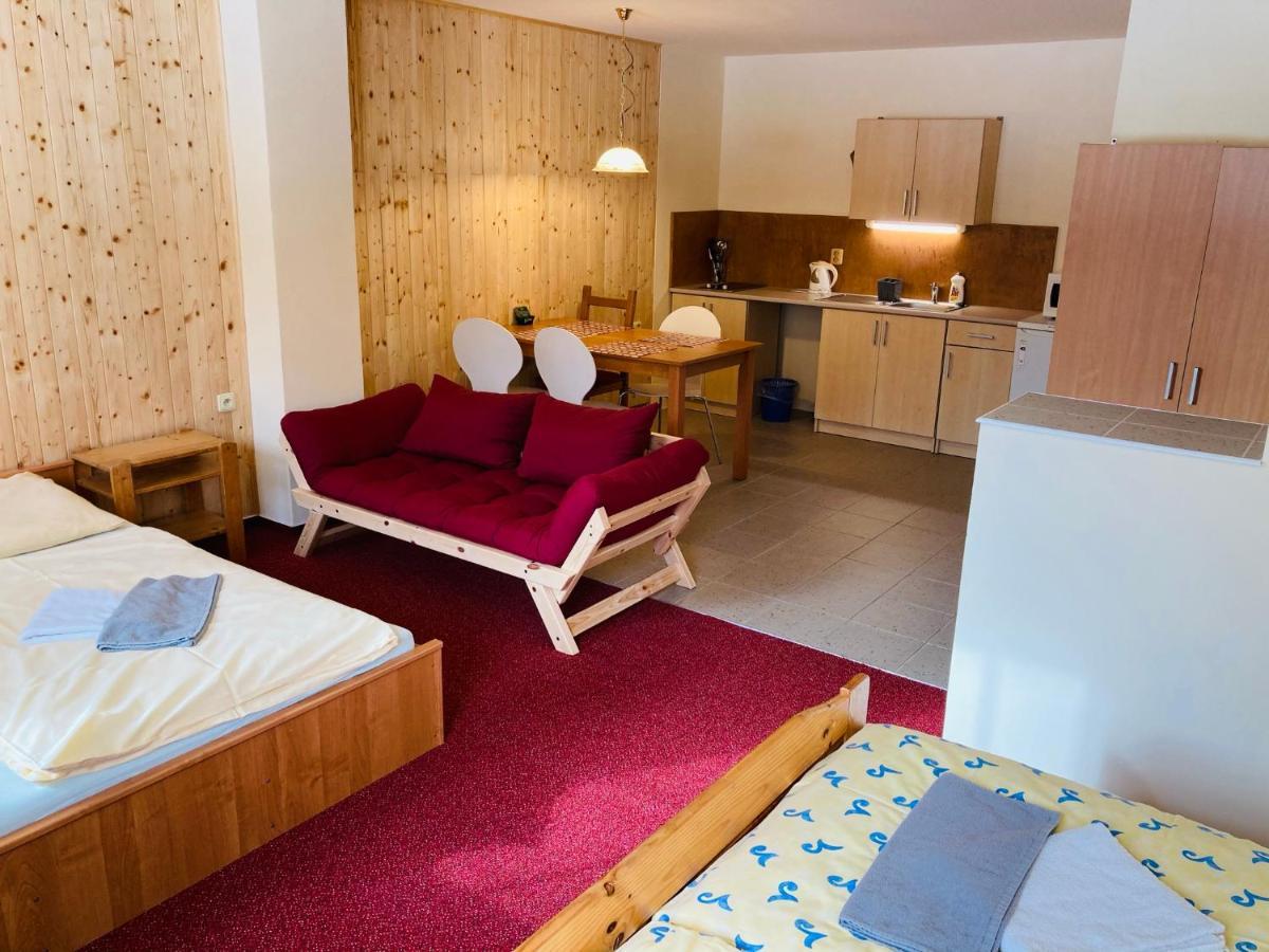 Studia Pod Lysou Apartment Rokytnice nad Jizerou Bagian luar foto
