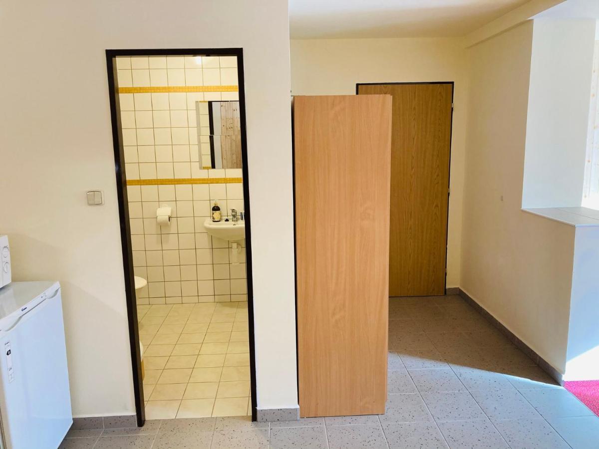 Studia Pod Lysou Apartment Rokytnice nad Jizerou Bagian luar foto