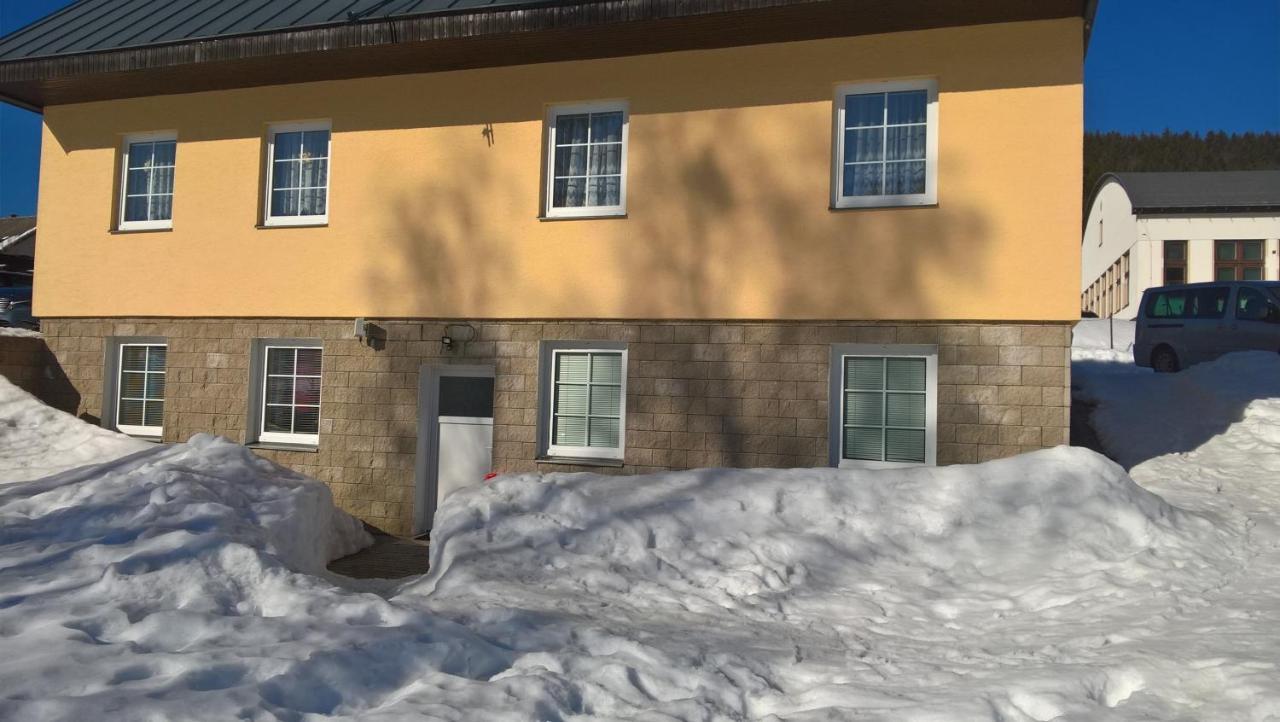Studia Pod Lysou Apartment Rokytnice nad Jizerou Bagian luar foto
