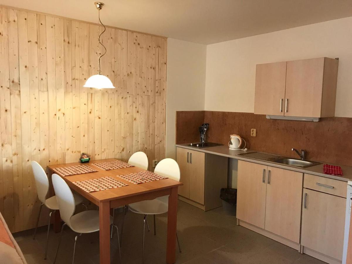 Studia Pod Lysou Apartment Rokytnice nad Jizerou Bagian luar foto
