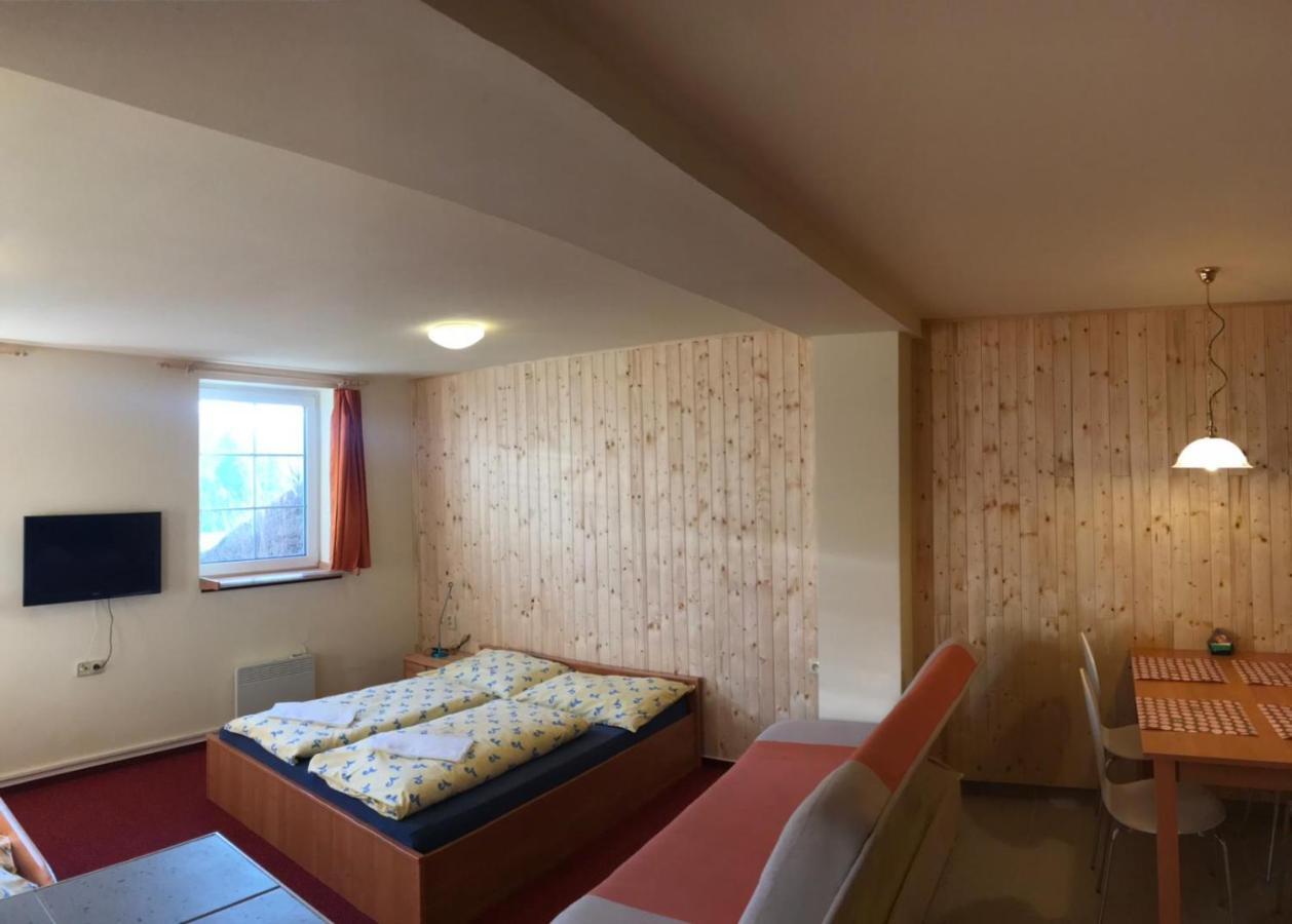 Studia Pod Lysou Apartment Rokytnice nad Jizerou Bagian luar foto