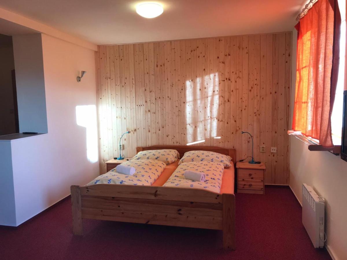 Studia Pod Lysou Apartment Rokytnice nad Jizerou Bagian luar foto