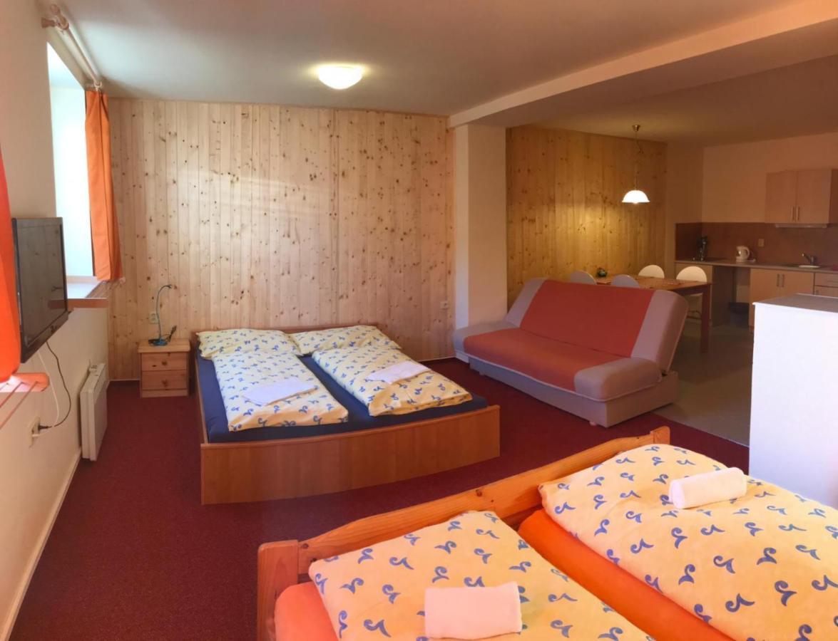 Studia Pod Lysou Apartment Rokytnice nad Jizerou Bagian luar foto