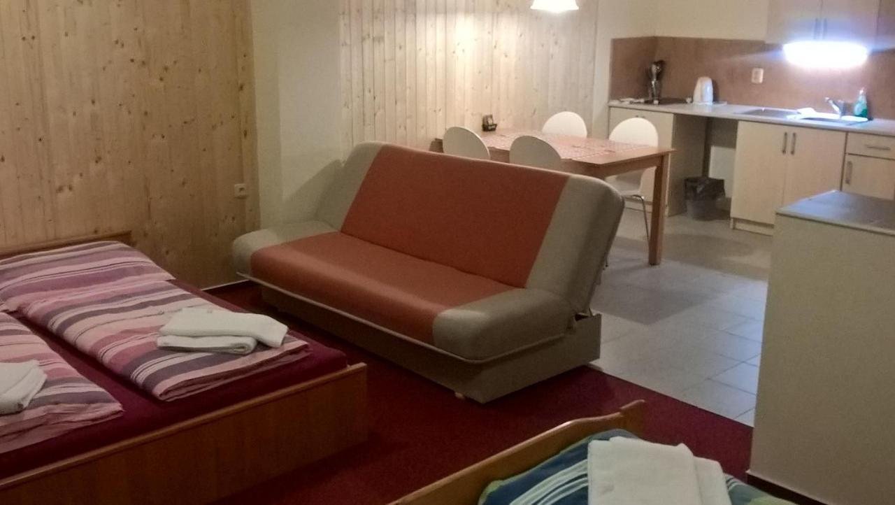 Studia Pod Lysou Apartment Rokytnice nad Jizerou Bagian luar foto