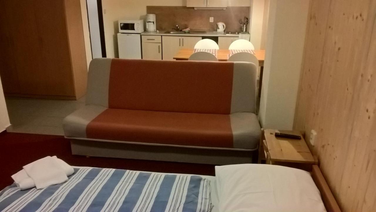 Studia Pod Lysou Apartment Rokytnice nad Jizerou Bagian luar foto