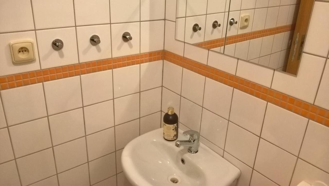 Studia Pod Lysou Apartment Rokytnice nad Jizerou Bagian luar foto