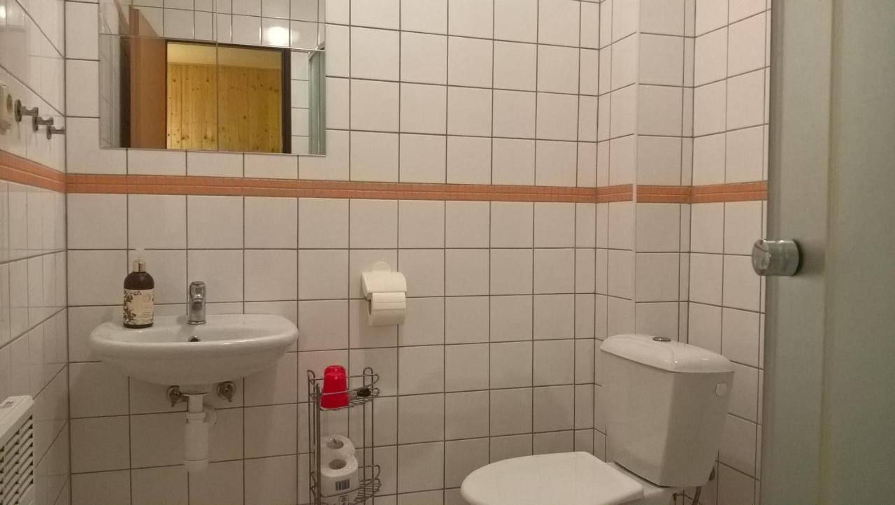 Studia Pod Lysou Apartment Rokytnice nad Jizerou Bagian luar foto