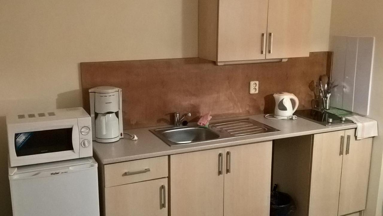 Studia Pod Lysou Apartment Rokytnice nad Jizerou Bagian luar foto