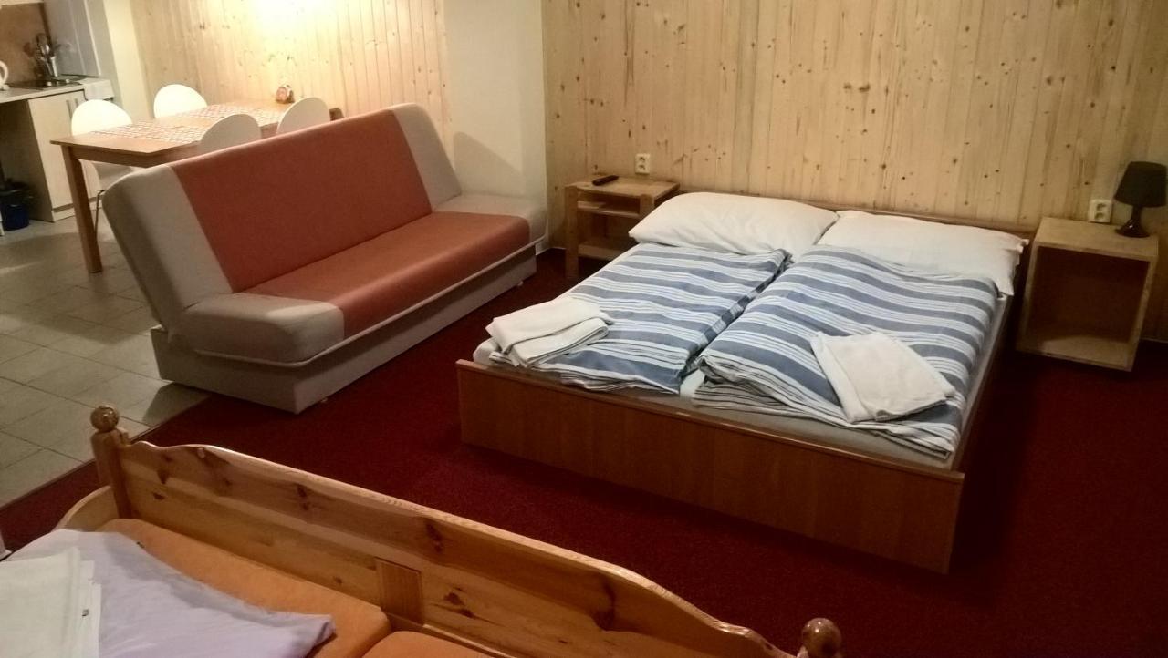 Studia Pod Lysou Apartment Rokytnice nad Jizerou Bagian luar foto