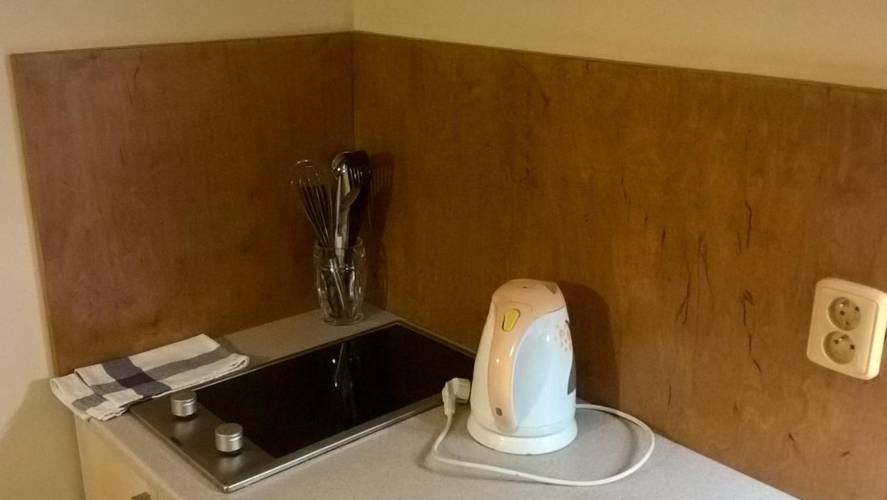 Studia Pod Lysou Apartment Rokytnice nad Jizerou Bagian luar foto